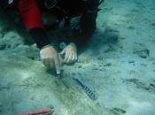 centomila anni zanna elefante fossile trovata mare Trapani