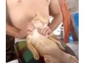 gatto massaggiare collo spalle (Video)