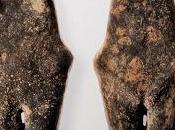 Scoperta Venere Racibòrz