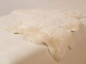 pelle pecora 4000 anni Scozia