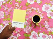 viralità Pantone Project