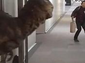 velociraptor ufficio