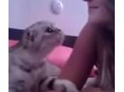 gatto innamorato bacia padrona (Video)