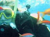 Immergersi nelle acque Marsa Alam