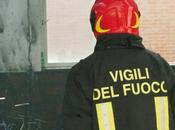 Scrive Laura, ringrazia vigili fuoco Marsala aver salvato uccellino