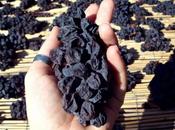 vini dell’isola d’Elba: bianchi passito, intervista all’enologa