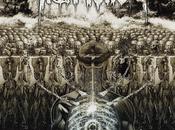 UNCONVENTIONAL DISRUPTION, Flood Euthanasia