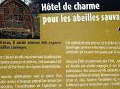 hôtel charme selvatiche