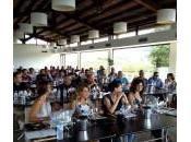 Cantine Settesoli festeggia vendemmiando…sul mare