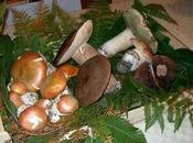 mushroom season Italy sagra