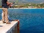 pesca cefali
