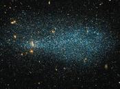 Quello stormo stelle brillanti