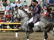 L’umbria scommette cavallo come volano promozione sviluppo