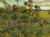 Scoperto nuovo quadro Gogh: Tramonto Montmajour