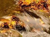 Impressioni settembre
