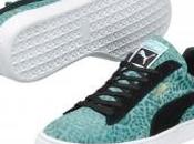 Graffiante PUMA…..