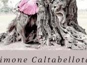 letture della Fenice RECENSIONE: Reina Simone Caltabellota