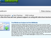 Analisi checkup MxWebsite