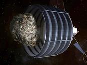 Missione asteroide: NASA seleziona target