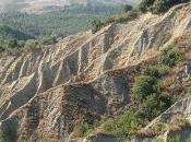 Escursione naturalistica gratuita Free naturalistic excursion