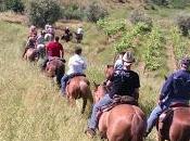 Fine settimana all'insegna turismo verde