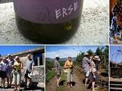 Tenuta Fessina, wine tour tasting: real-life!”