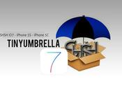 TinyUmbrella aggiorna permette salvare file SHSH iPhone