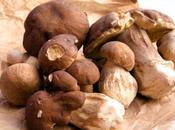 Ricette funghi
