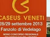 Caseus veneti 2013: weekend dedicato formaggi villa