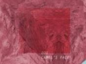 Camel's Pace