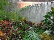 foreste pluviali tropicali ospitano sole circa metà delle specie viventi animali vegetali terrestri.
