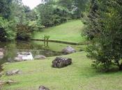 Viaggi Indonesia: parco Tomohon