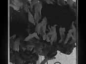 SUTEKH HEXEN, Monument Decay