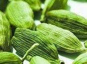 Cardamomo digestione: come perché funziona