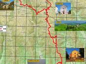 Cactus ippovie d'Alpone