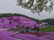 Giardini mondo: Higashimokoto Flower Park Hokkaido (Giappone)