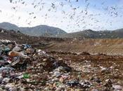 Terra fuochi. gigantesca discarica tossica Napoli Caserta. molti colpa delle istituzioni, sono anche altre responsabilità