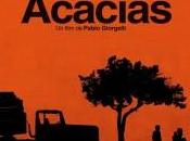 Acacias