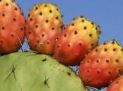 Perle della Rete, poesia d’amore internet