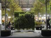 made expo foresta sbarca città: growing city