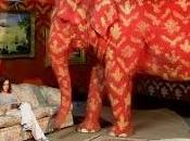 L'elefante nella stanza