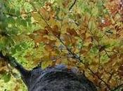 Escursione naturalistica gratuita nell’alta valle Carfalo Free naturalistic excursion