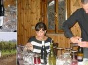 Wine tour tasting Tenuta Fessina, unicità dell’esperienza