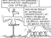 aquile bruchi