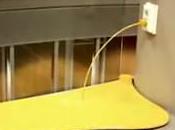 contro sprego energia elettrica