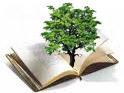 libri bambini distruggono foreste nuove conferme
