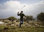 Foto giorno gennaio 2011 palestinese lancia pietre contro truppe israeliane