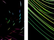 Live Wallpaper Luna Stream Android