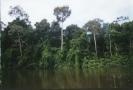Perù: legge forestale infiamma resistenza indigena