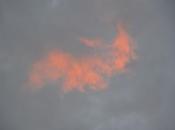 immagini dell'eclissi sole gennaio 2010